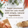 Rachael Ray Nutrish Premium Natural Dry Cat Food, Real Chicken & Brown Rice Recipe, 14 Pounds